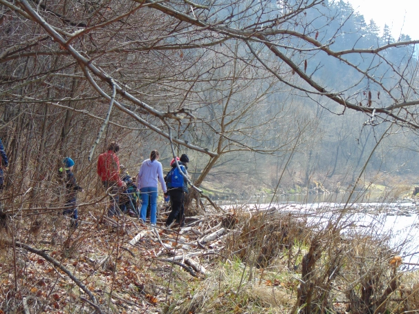 Zdjęcie nr 34 z galerii O wodzie, lesie i odpowiedzialności &ndash; ekologiczne warsztaty terenowe w Żywcu