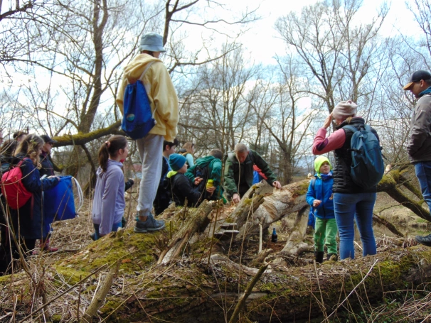 Zdjęcie nr 1 z galerii O wodzie, lesie i odpowiedzialności &ndash; ekologiczne warsztaty terenowe w Żywcu