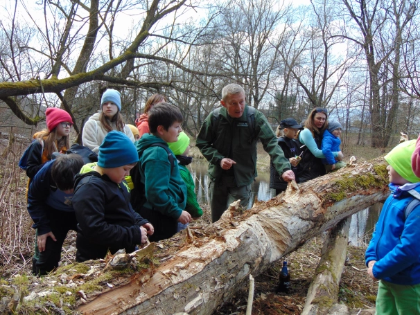 Zdjęcie nr 2 z galerii O wodzie, lesie i odpowiedzialności &ndash; ekologiczne warsztaty terenowe w Żywcu
