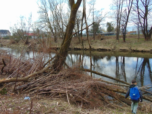 Zdjęcie nr 4 z galerii O wodzie, lesie i odpowiedzialności &ndash; ekologiczne warsztaty terenowe w Żywcu