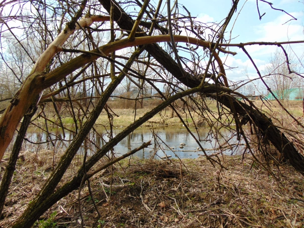 Zdjęcie nr 7 z galerii O wodzie, lesie i odpowiedzialności &ndash; ekologiczne warsztaty terenowe w Żywcu