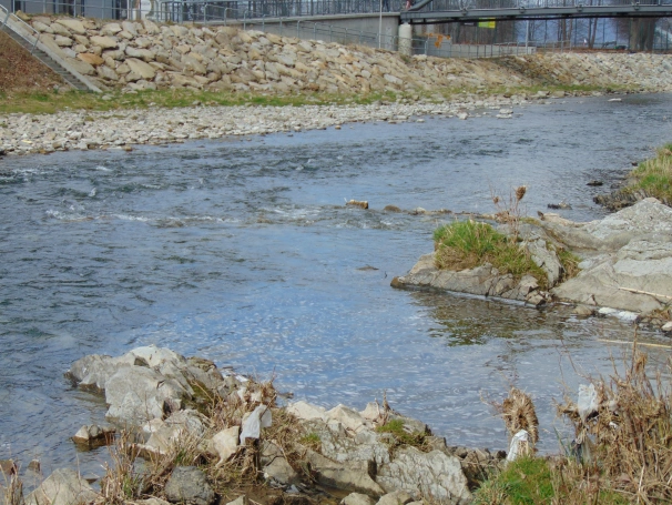 Zdjęcie nr 9 z galerii O wodzie, lesie i odpowiedzialności &ndash; ekologiczne warsztaty terenowe w Żywcu