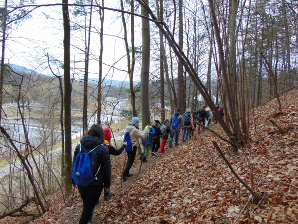 Zdjęcie nr 10 z galerii O wodzie, lesie i odpowiedzialności &ndash; ekologiczne warsztaty terenowe w Żywcu