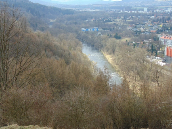 Zdjęcie nr 14 z galerii O wodzie, lesie i odpowiedzialności &ndash; ekologiczne warsztaty terenowe w Żywcu
