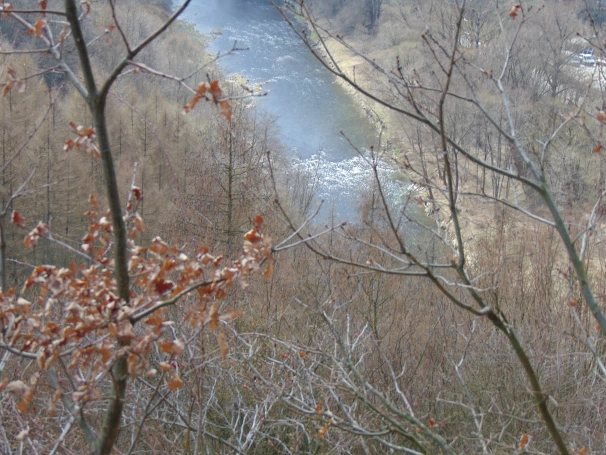 Zdjęcie nr 17 z galerii O wodzie, lesie i odpowiedzialności &ndash; ekologiczne warsztaty terenowe w Żywcu