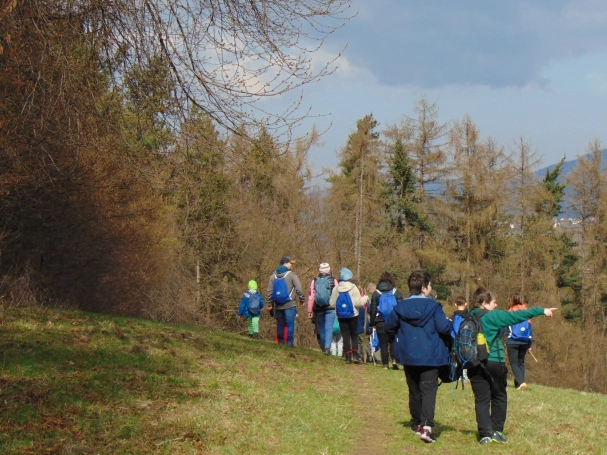 Zdjęcie nr 18 z galerii O wodzie, lesie i odpowiedzialności &ndash; ekologiczne warsztaty terenowe w Żywcu