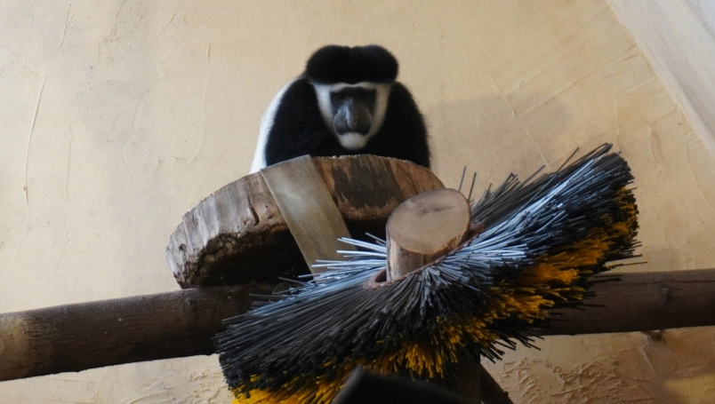 Zdjęcie nr 9 z galerii Ł&Oacute;DŹ