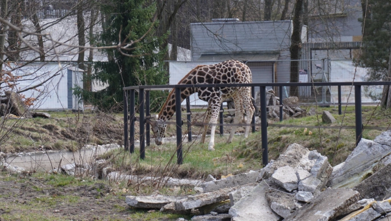 Zdjęcie nr 8 z galerii Ł&Oacute;DŹ