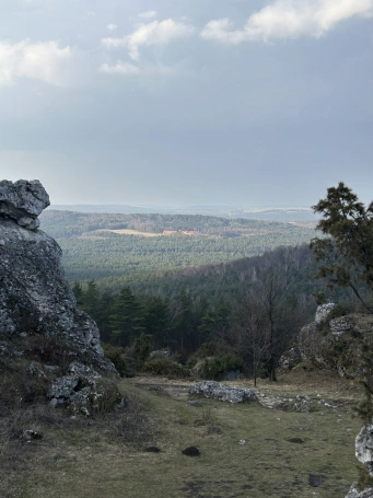 Zdjęcie nr 41 z galerii Green Bootcamp 16.03 - 20.03.2026 r.