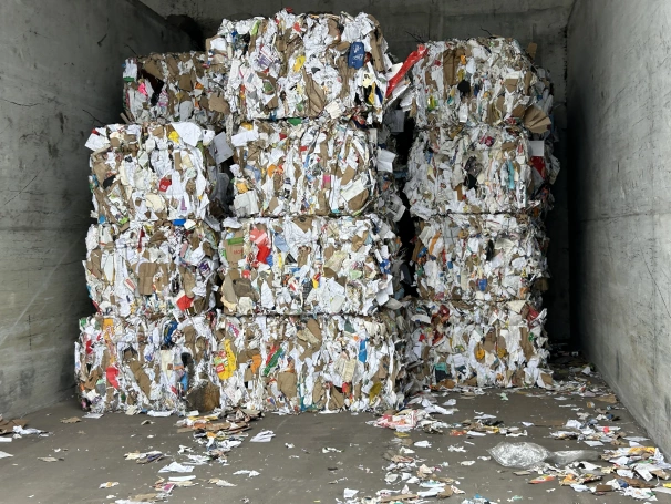 Zdjęcie nr 48 z galerii Green Bootcamp 16.03 - 20.03.2026 r.