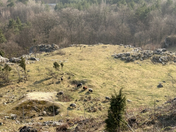 Zdjęcie nr 43 z galerii Green Bootcamp 16.03 - 20.03.2026 r.