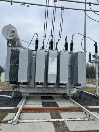 Zdjęcie nr 55 z galerii Green Bootcamp 16.03 - 20.03.2026 r.