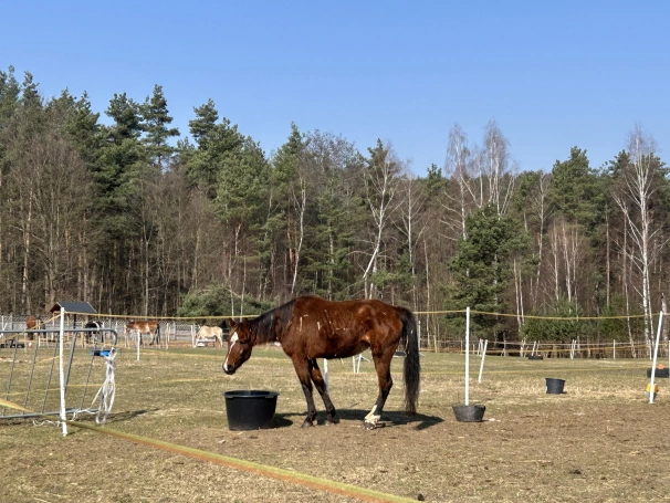 Zdjęcie nr 33 z galerii Green Bootcamp 16.03 - 20.03.2026 r.