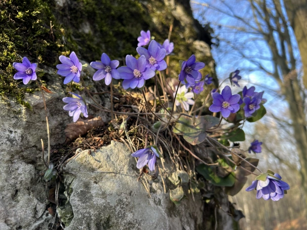 Zdjęcie nr 9 z galerii Green Bootcamp 16.03 - 20.03.2026 r.
