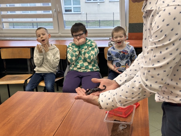 Zdjęcie nr 6 z galerii UDŻ Pająki 