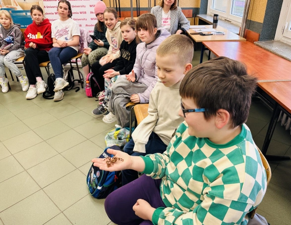 Zdjęcie nr 12 z galerii UDŻ Pająki 