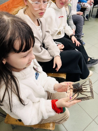 Zdjęcie nr 14 z galerii UDŻ Pająki 