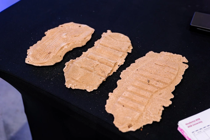 Zdjęcie nr 22 z galerii Science, Inspiration and Music &ndash; The WSB University Science Festival in Będzin Concludes 