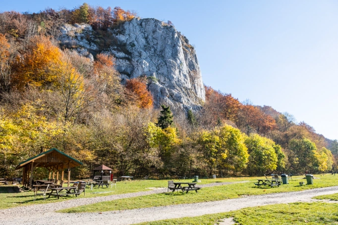 Zdjęcie nr 4 z galerii zbyszek