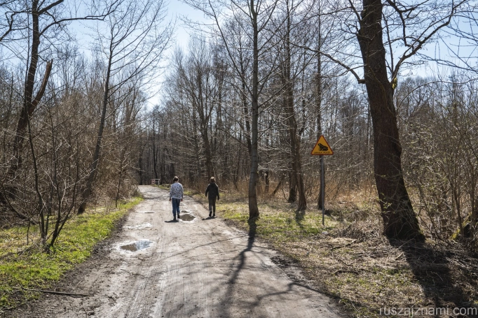 Zdjęcie nr 3 z galerii zbyszek