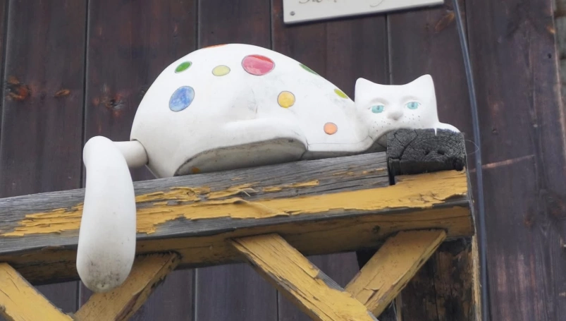 Zdjęcie nr 29 z galerii wadowice zdj