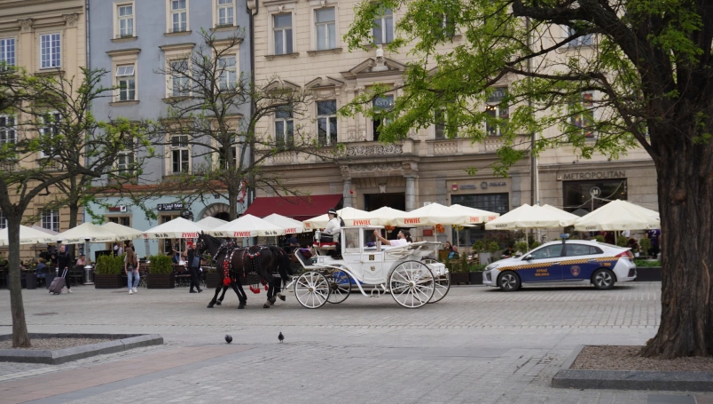 Zdjęcie nr 41 z galerii Krak&oacute;w 7.05