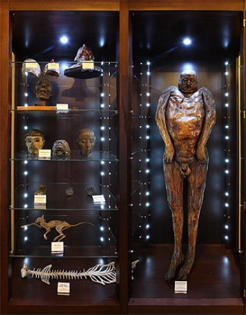 Zdjęcie nr 3 z galerii Wizyta w Muzeum Katedry i Zakładu Anatomii Uniwersytetu Jagiellońskiego