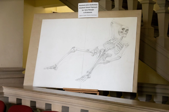 Zdjęcie nr 7 z galerii Wizyta w Muzeum Katedry i Zakładu Anatomii Uniwersytetu Jagiellońskiego
