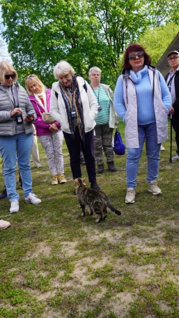 Zdjęcie nr 19 z galerii podlasie