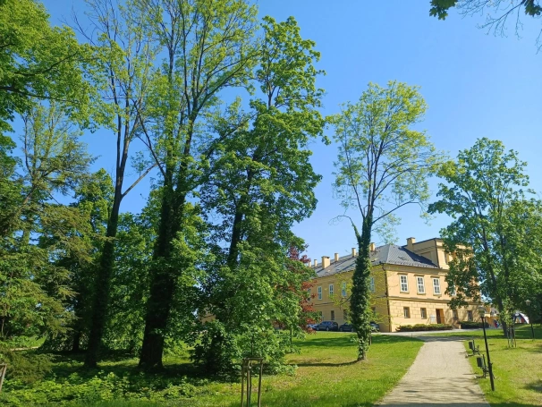 Zdjęcie nr 37 z galerii koszęcin