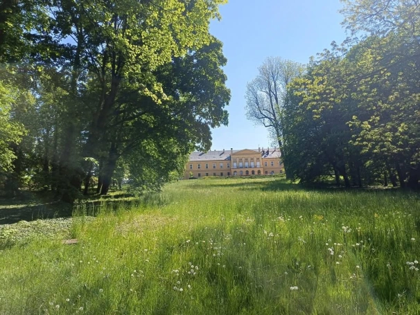 Zdjęcie nr 38 z galerii koszęcin