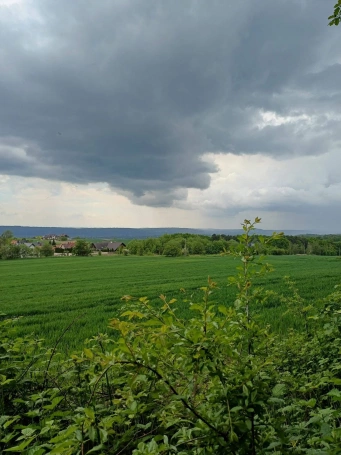 Zdjęcie nr 14 z galerii zbyszek