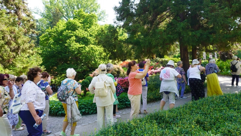 Zdjęcie nr 11 z galerii wojslawice