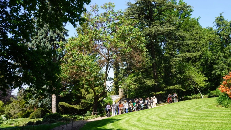 Zdjęcie nr 14 z galerii wojslawice