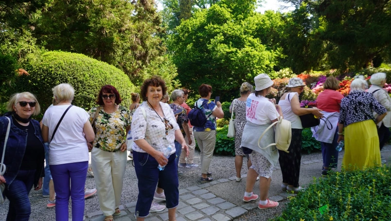 Zdjęcie nr 10 z galerii wojslawice