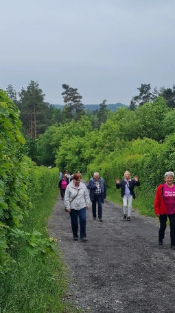 Zdjęcie nr 5 z galerii jura 