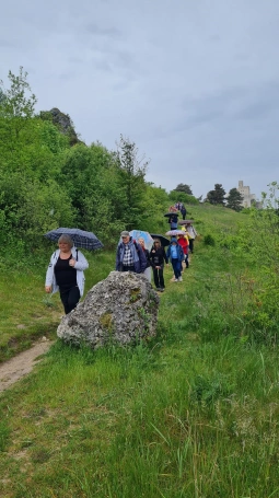 Zdjęcie nr 6 z galerii jura 