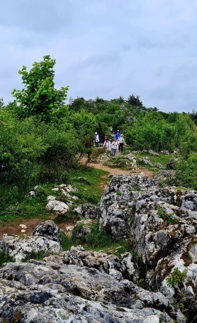 Zdjęcie nr 7 z galerii jura 