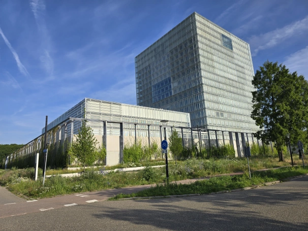 Zdjęcie nr 1 z galerii WSB University Students Participate in Two International Erasmus+ Blended Intensive Programmes in the Netherlands