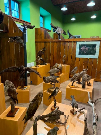 Zdjęcie nr 12 z galerii żywiec