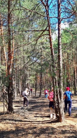 Zdjęcie nr 12 z galerii zbyszek 28.07