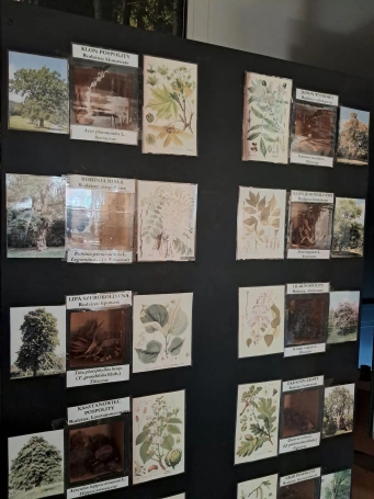 Zdjęcie nr 11 z galerii Blisko natury &ndash; dzień pełen inspiracji!