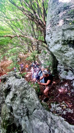 Zdjęcie nr 11 z galerii jura