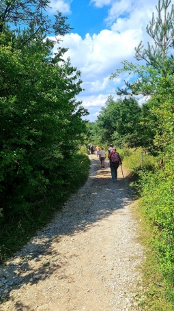 Zdjęcie nr 14 z galerii jura