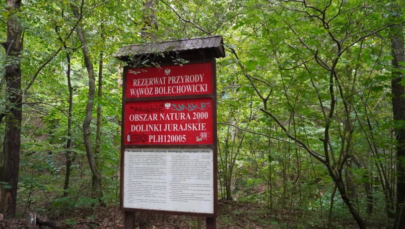 Zdjęcie nr 12 z galerii Dolina Racławki - kolejny wtorkowy spacer Słuchaczy UTW!