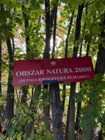 Zdjęcie nr 8 z galerii Święto Pieczonego Ziemniaka  &ndash; jesienna wyprawa na Jurę