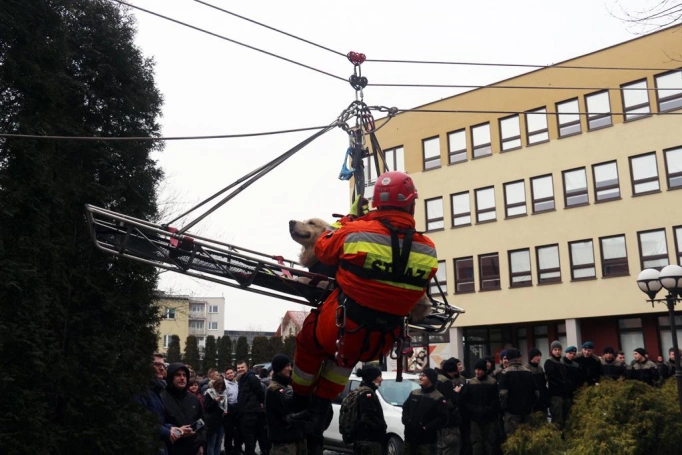 Zdjęcie nr 33 z galerii Uzbrojony szaleniec, pokazy taktyki i warsztaty - tak świętowało Centrum Bezpieczeństwa i Edukacji Służb Mundurowych WSB