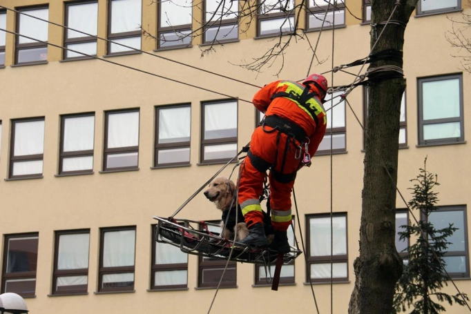 Zdjęcie nr 34 z galerii Uzbrojony szaleniec, pokazy taktyki i warsztaty - tak świętowało Centrum Bezpieczeństwa i Edukacji Służb Mundurowych WSB