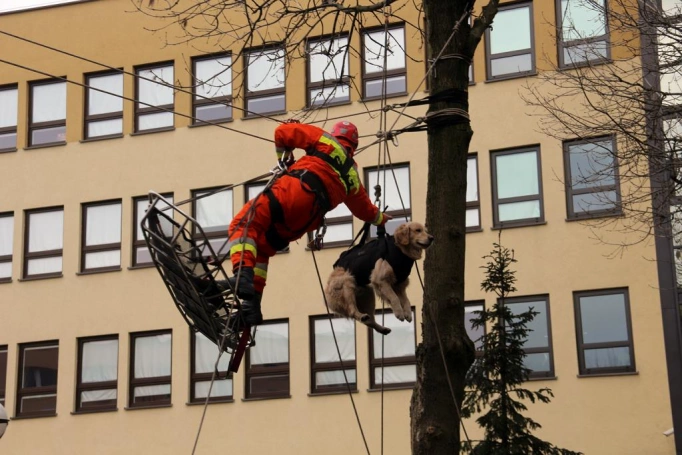 Zdjęcie nr 35 z galerii Uzbrojony szaleniec, pokazy taktyki i warsztaty - tak świętowało Centrum Bezpieczeństwa i Edukacji Służb Mundurowych WSB