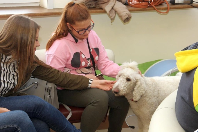 Zdjęcie nr 41 z galerii 14. Festiwal Nauki: jak zostać "specjalsem" i pilotem myśliwca, kto zamieszkuje w naszym ciele i jak dążyć do szczęścia?